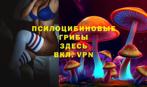 эйфоретик Беломорск