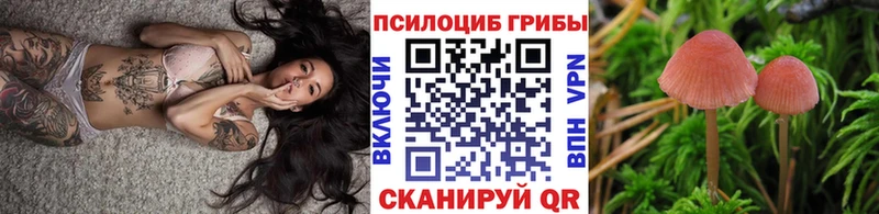 Псилоцибиновые грибы Psilocybe  Феодосия 